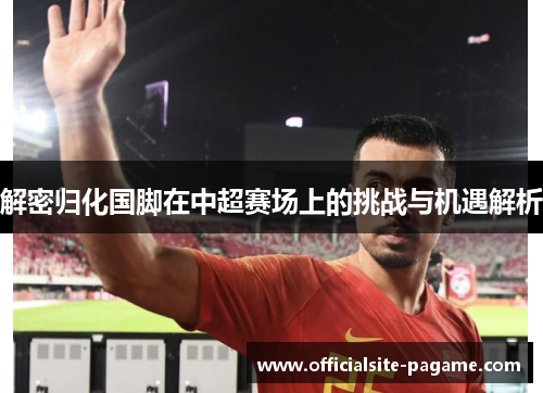 解密归化国脚在中超赛场上的挑战与机遇解析