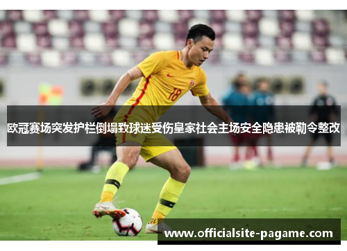 欧冠赛场突发护栏倒塌致球迷受伤皇家社会主场安全隐患被勒令整改 欧冠赛场突发护栏倒塌致球迷受伤皇家社会主场安全隐患被勒令整改