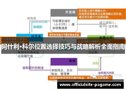 阿什利·科尔位置选择技巧与战略解析全面指南