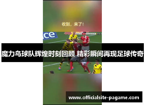 魔力鸟球队辉煌时刻回顾 精彩瞬间再现足球传奇 魔力鸟球队辉煌时刻回顾 精彩瞬间再现足球传奇